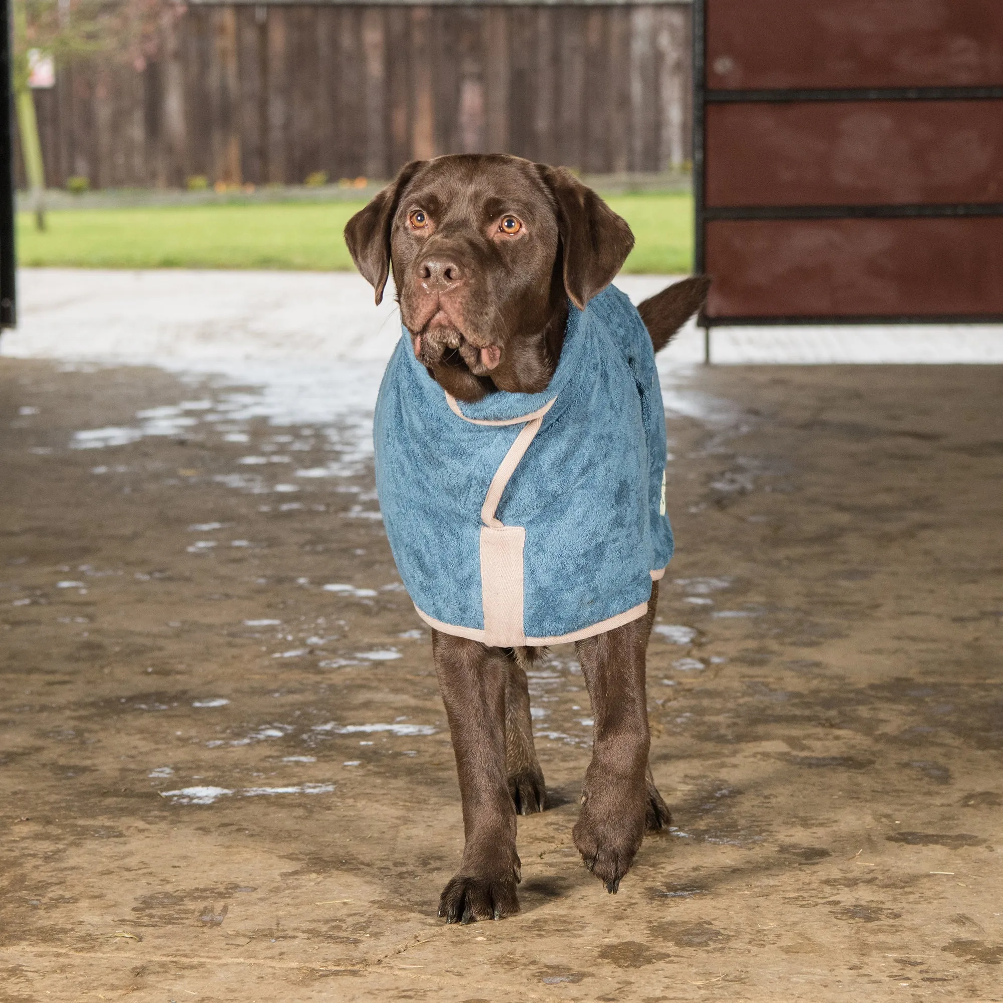 Classic Dog Drying Coat - Sandringham Blue