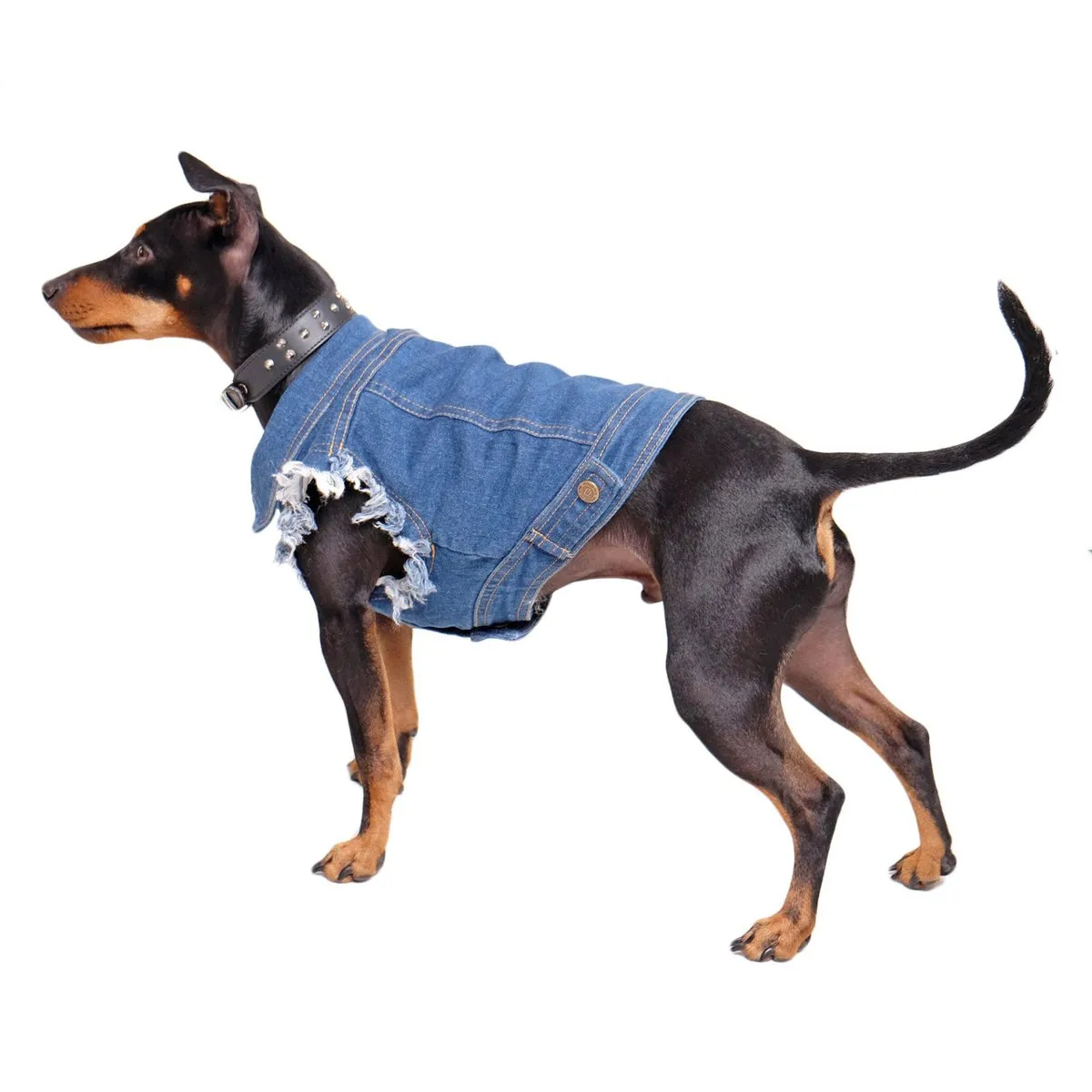 Denim dog vest   Dog Band Hoodie Set