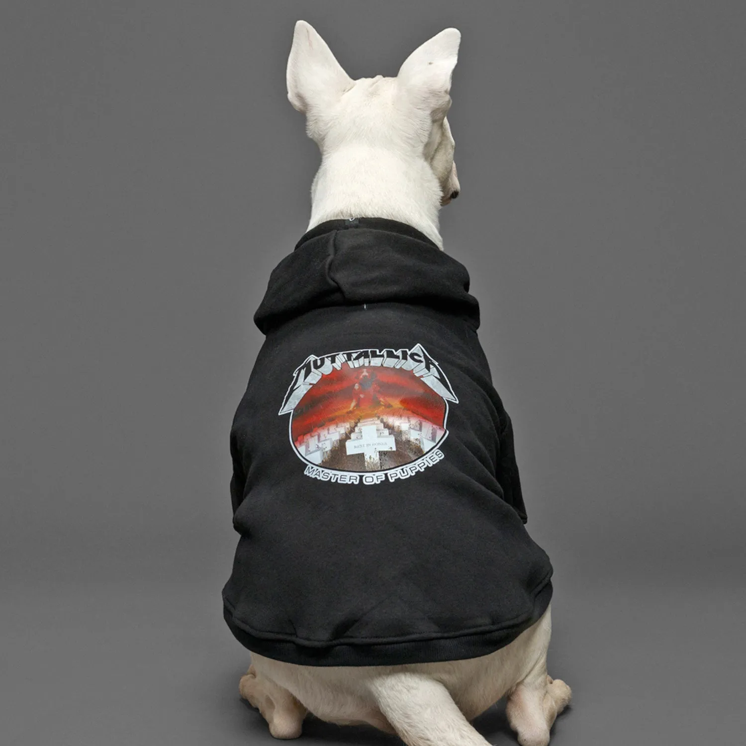 Denim dog vest   Dog Band Hoodie Set