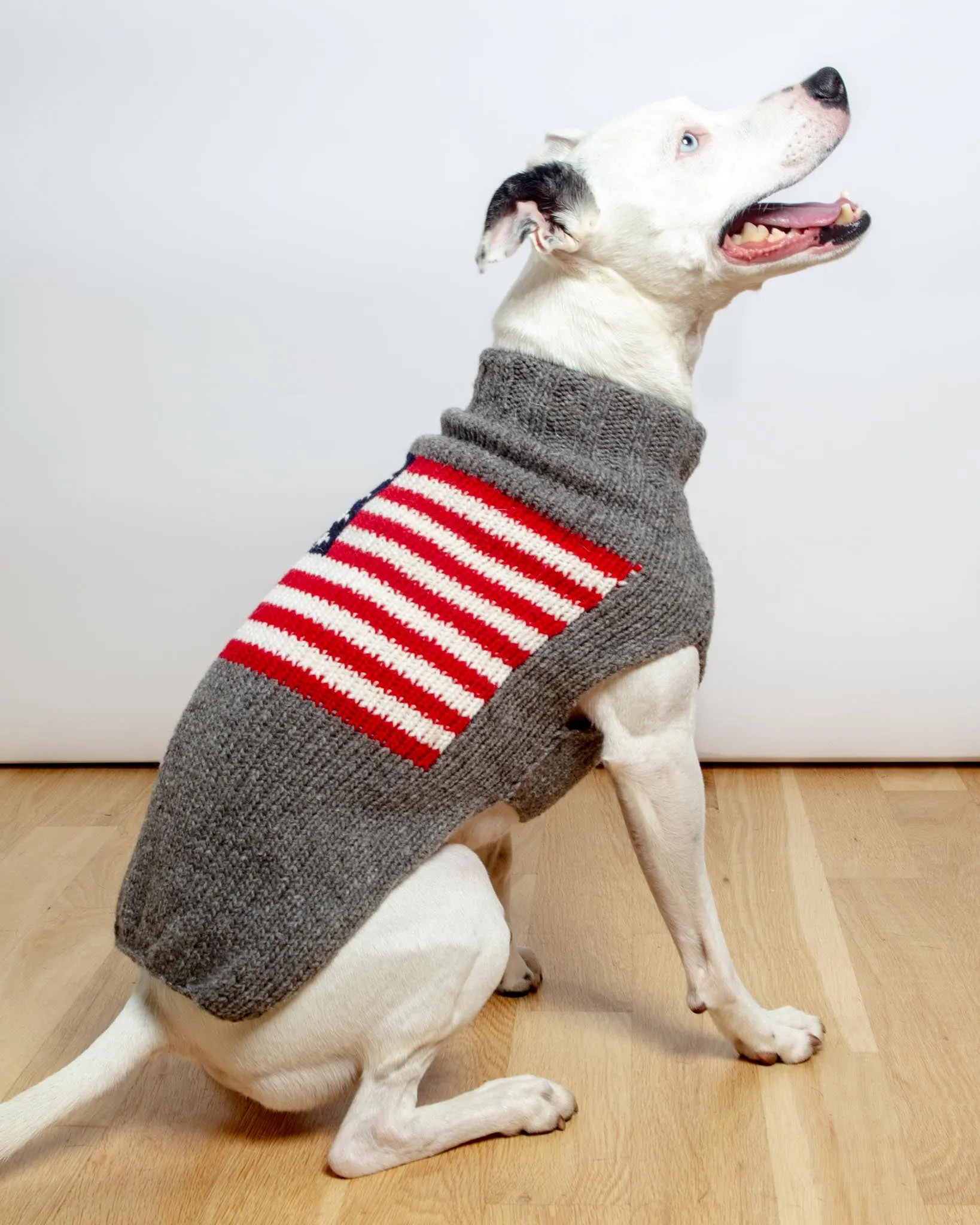 Flag Wool Dog Sweater (FINAL SALE)