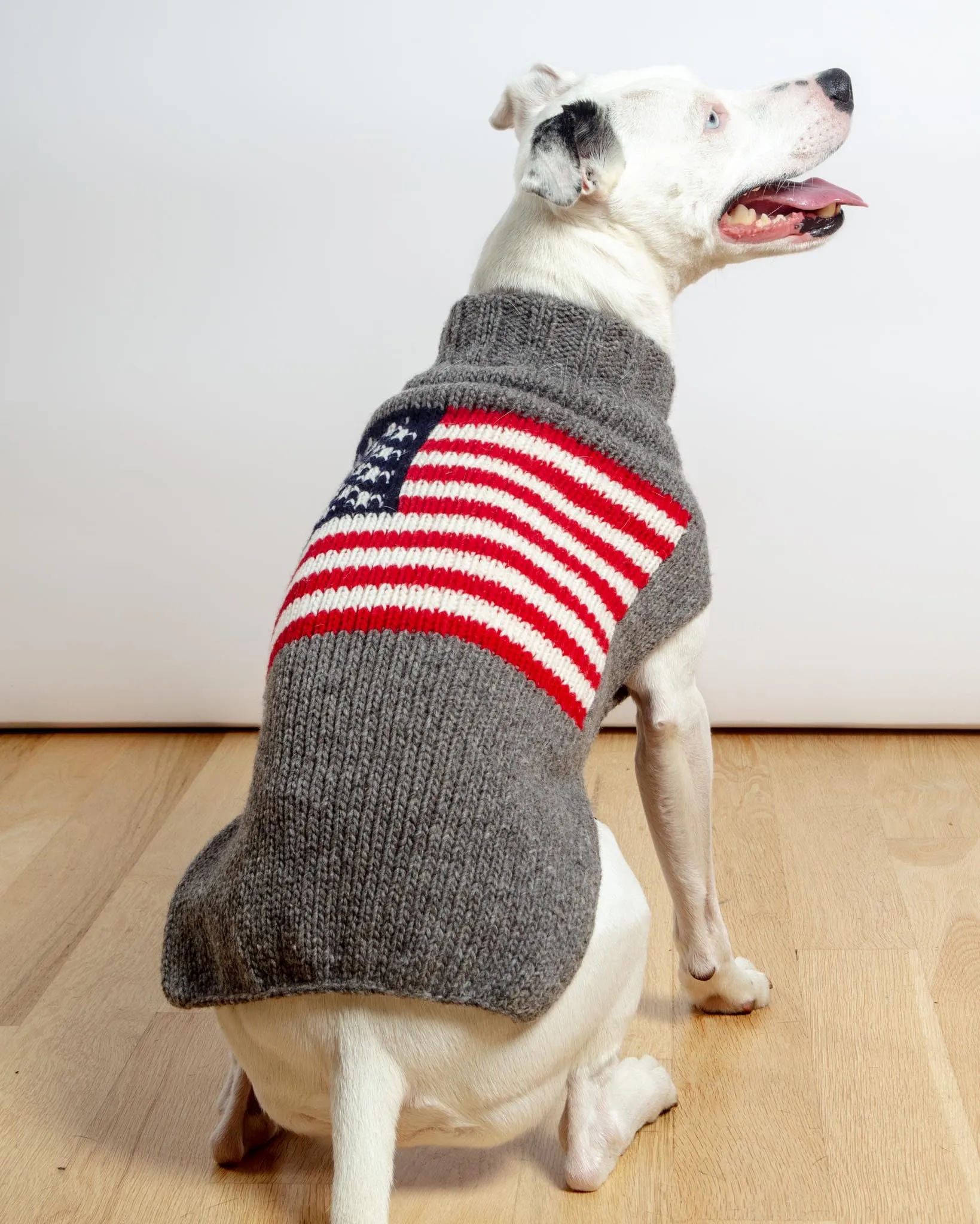 Flag Wool Dog Sweater (FINAL SALE)